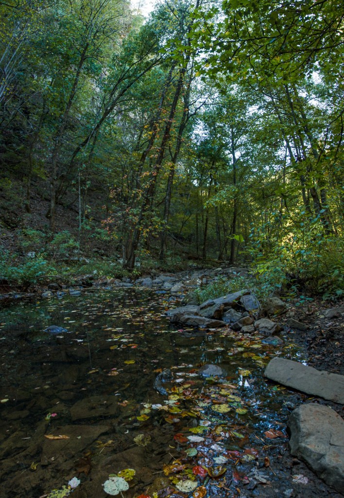 The Pain of Doing&nbsp;Nothing