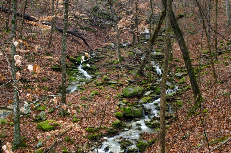 Peace is a Lie, There is Only the Eternal Grind of&nbsp;Progress.