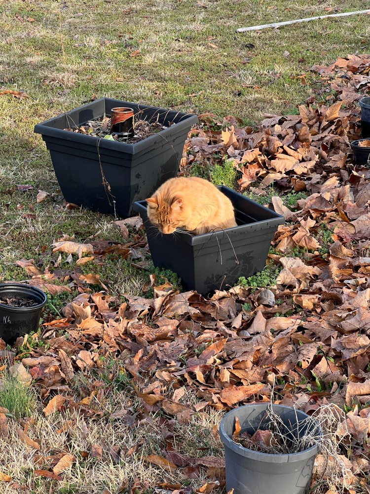 5 Things I Won’t Be Buying as a Reformed Consumerist (And Two Things I&nbsp;Will)(2026)