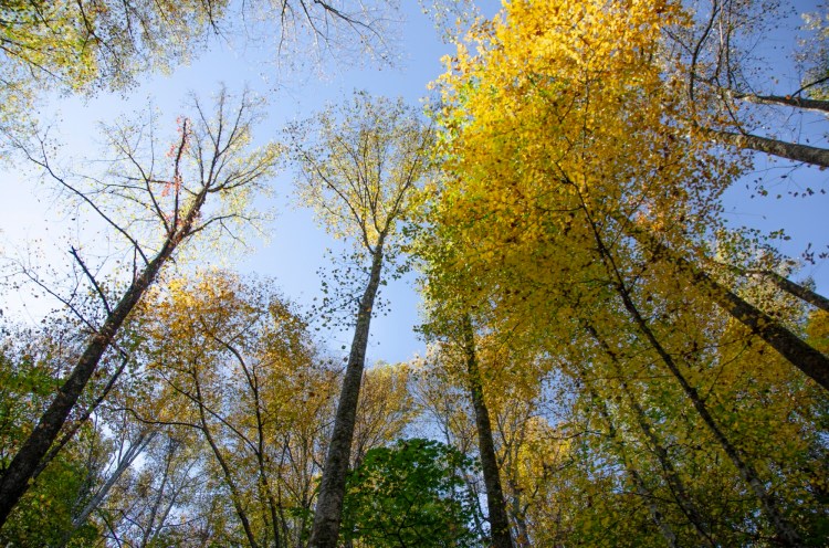 Ecclesiastes, Part 1: Vanity, and&nbsp;Wisdom