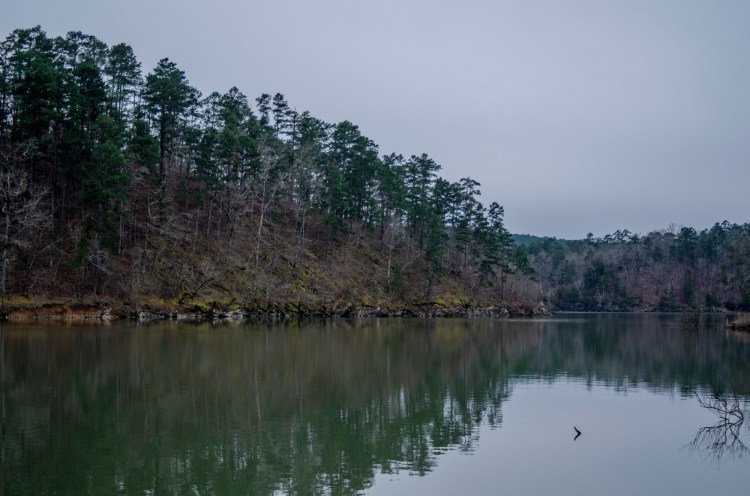 The Sweetness of the&nbsp;Rain