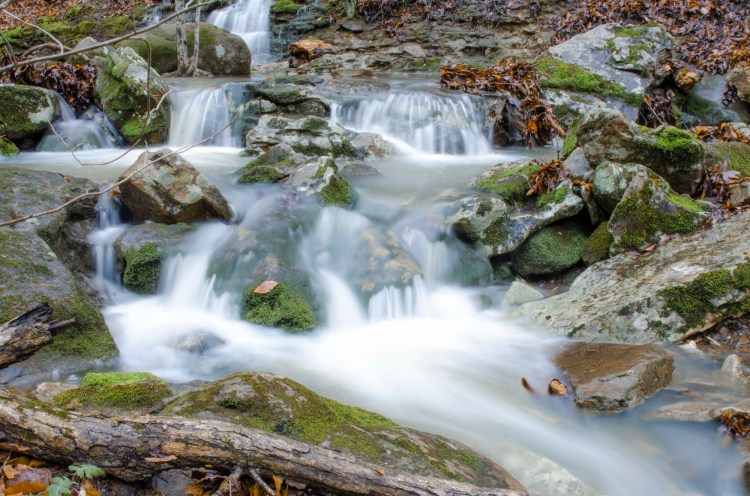 To Grow In&nbsp;Kindness