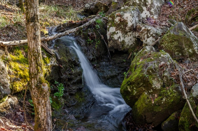 The Body, a&nbsp;Temple